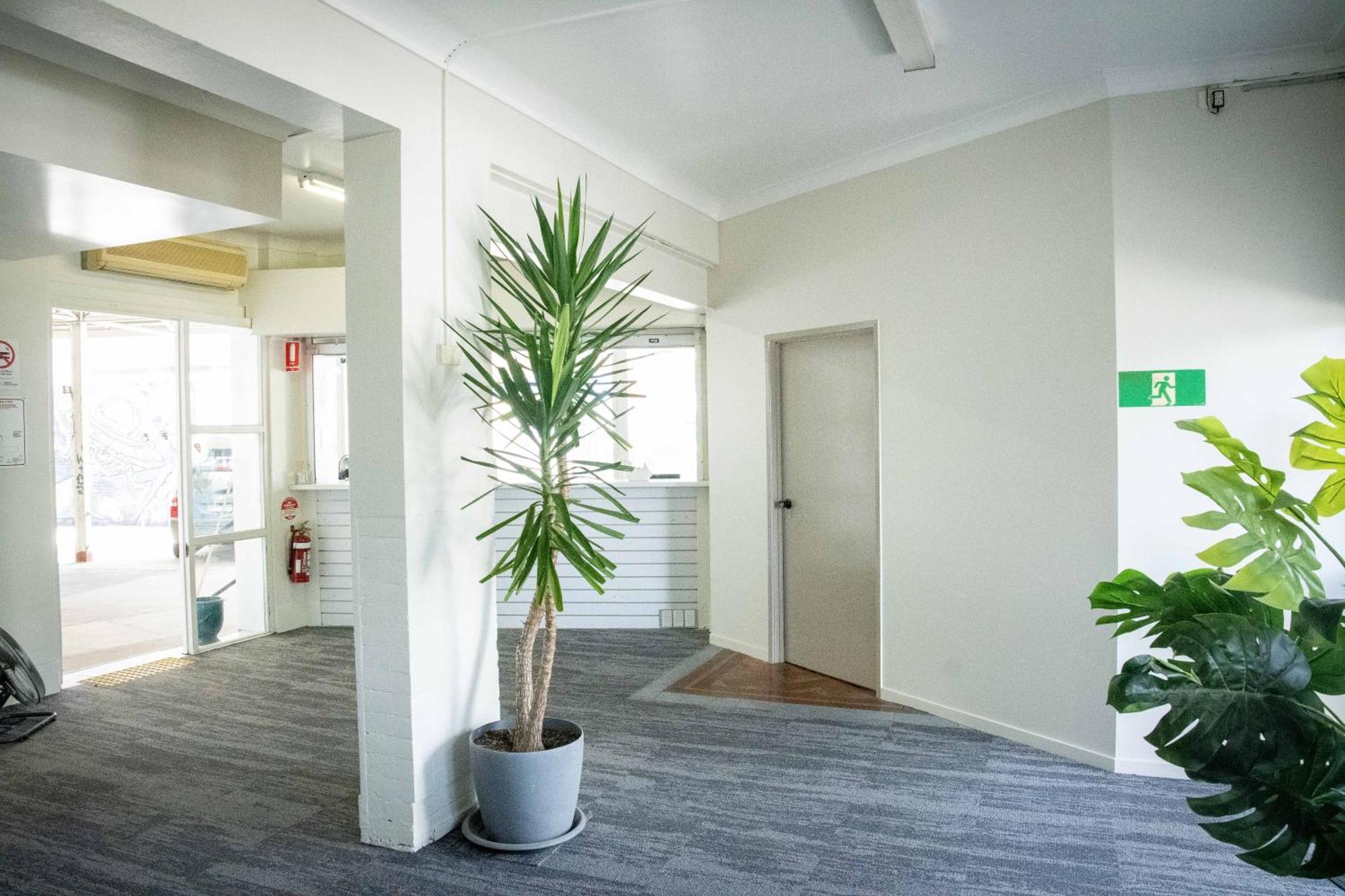 بيت شباب Habitat Backpackers بريزبين المظهر الخارجي الصورة